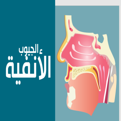 عرض تقديمي بعنوان (الجيوب الانفية)